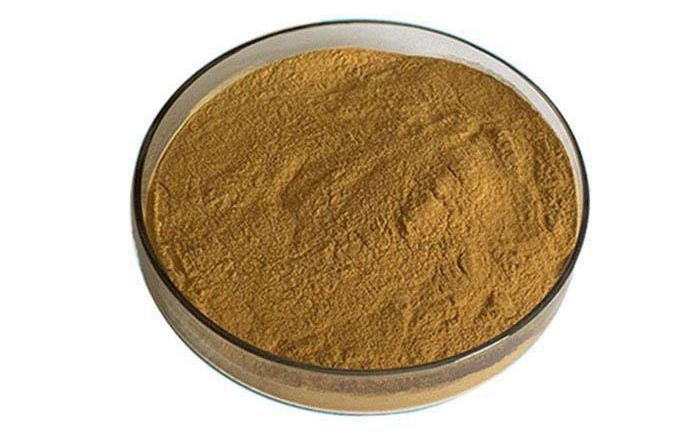 Organic Chaga Mushroom Extract