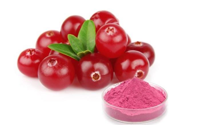 Organic Cranberry Powder