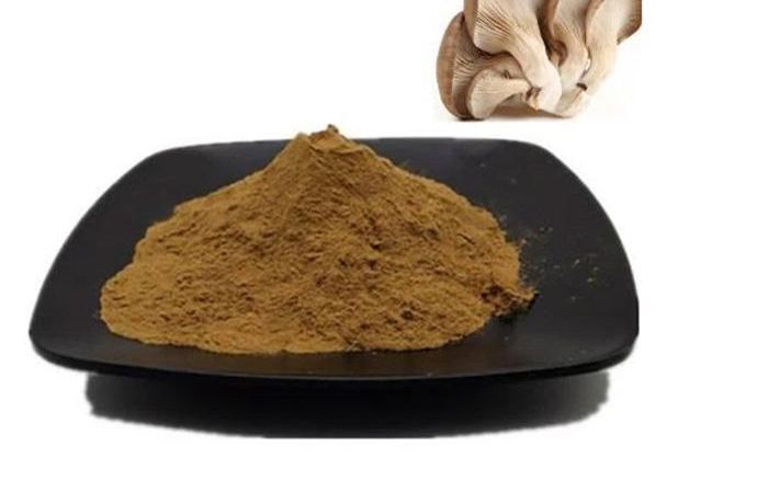 Organic Oyster Mushroom Powder