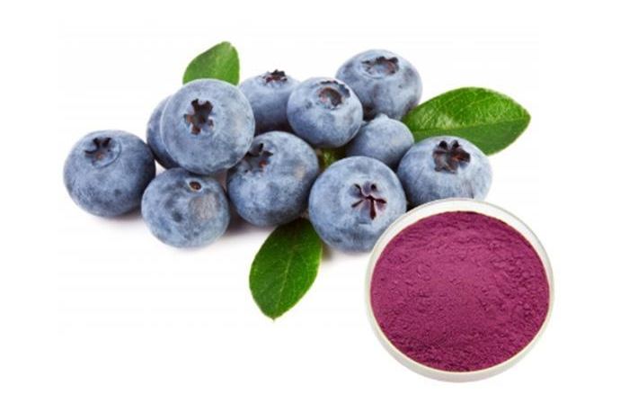 Organic Blueberry Powder