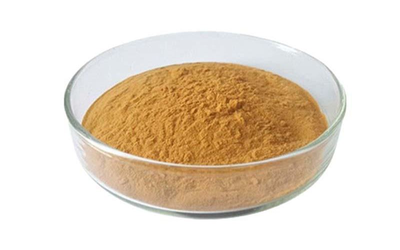 Organic Lion's Mane Mushroom Extract