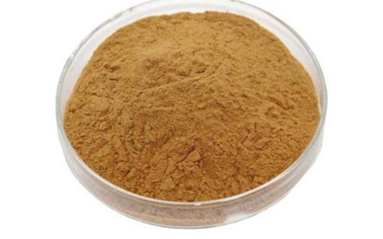 Organic Cordyceps Militaris Extract