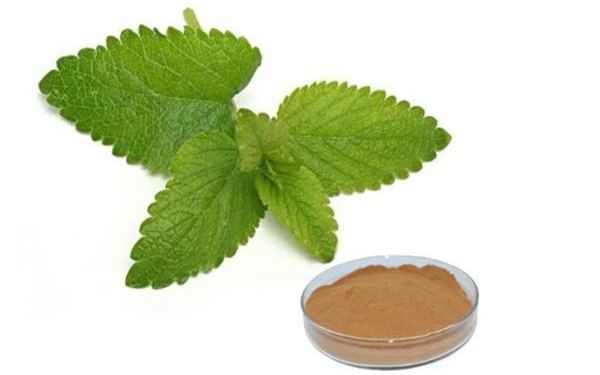 What Is Lemon Balm Extract Good For?