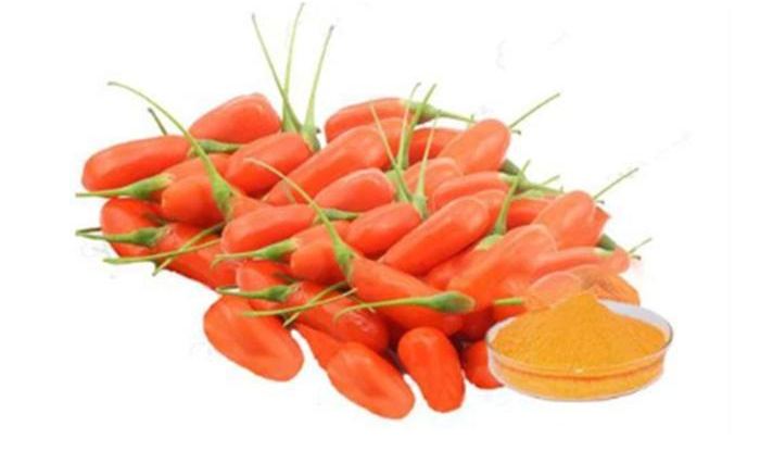 Organic Goji Berry Powder