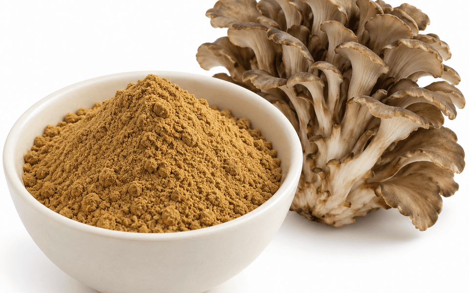 Organic Maitake Mushroom Extract