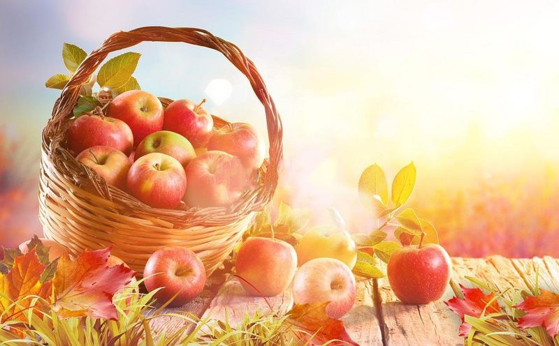 Nutritious apple powder