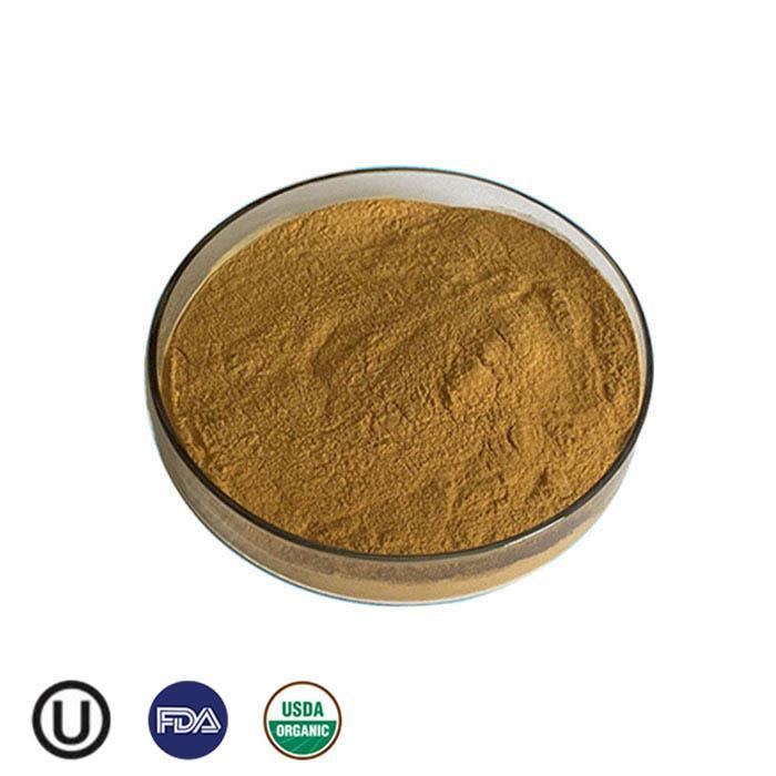 Organic Chaga Mushroom Extract