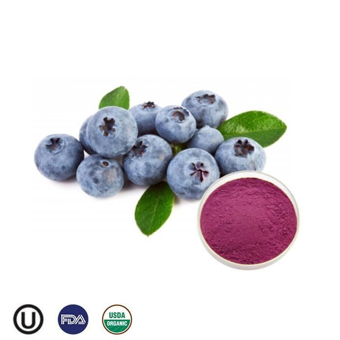 Organic Blueberry Powder