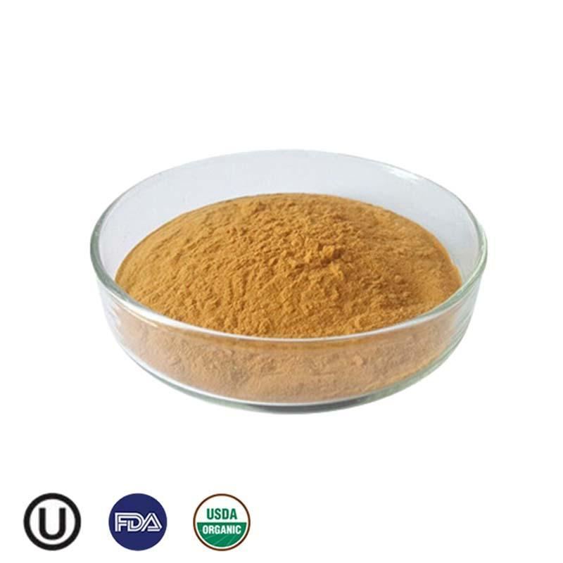 Organic Lion's Mane Mushroom Extract