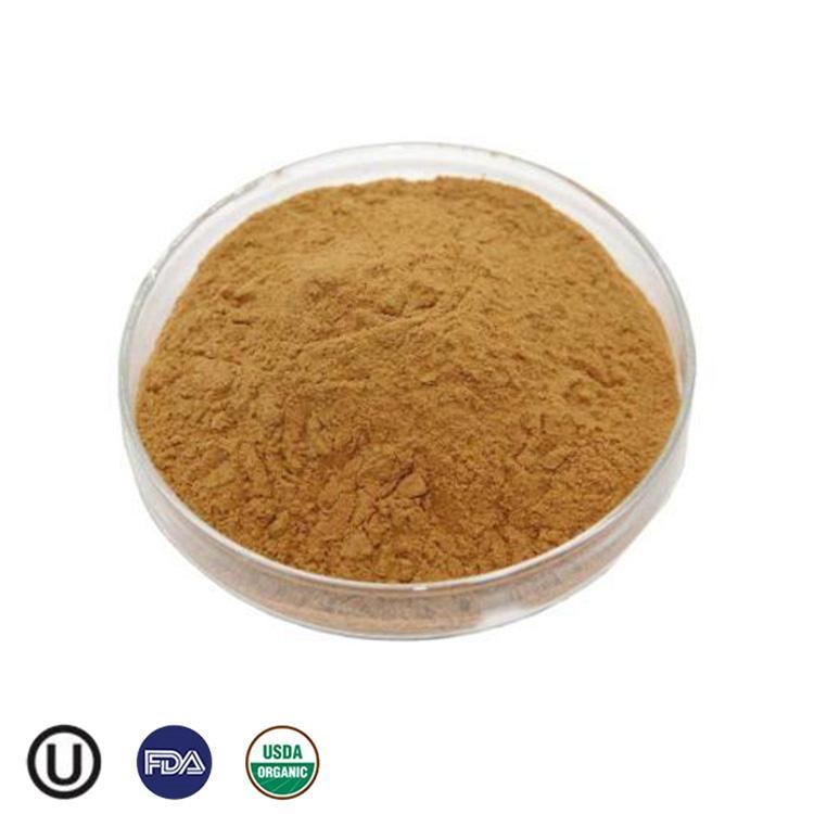 Organic Cordyceps Militaris Extract