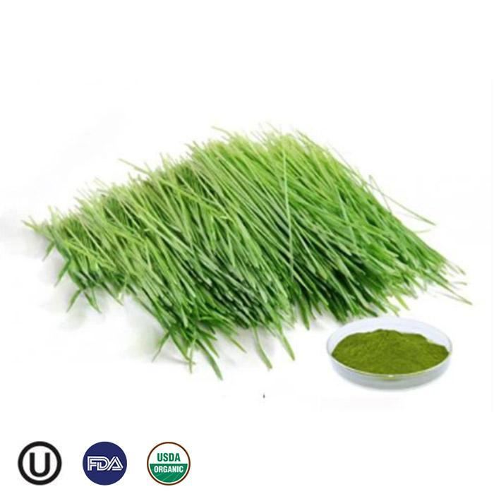 Organic Barley Grass Powder