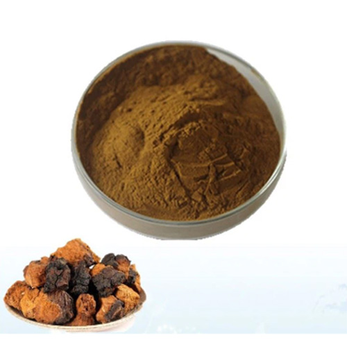 Chaga Mushroom Powder (2)